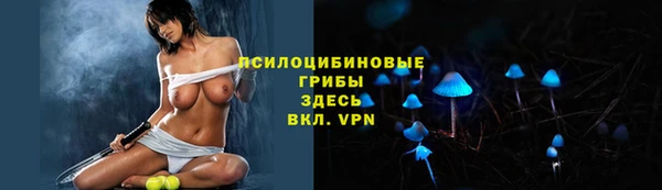 дмт Алексеевка