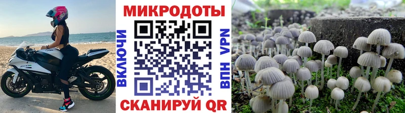 Галлюциногенные грибы мухоморы  продажа наркотиков  Усть-Джегута 