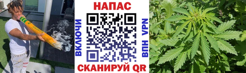 Бошки марихуана семена  кракен как войти  Усть-Джегута  закладки 
